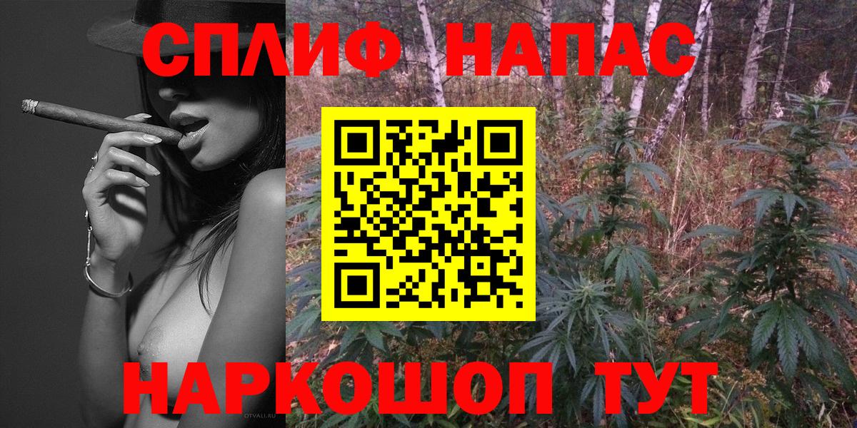 Бошки марихуана конопля  Бошки Шишки конопля  Балаково  Вход с VPN 